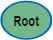 Root node